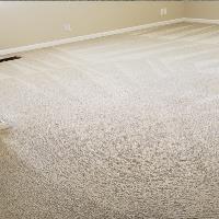 Eco Green Steam Carpet Cleaning image 3